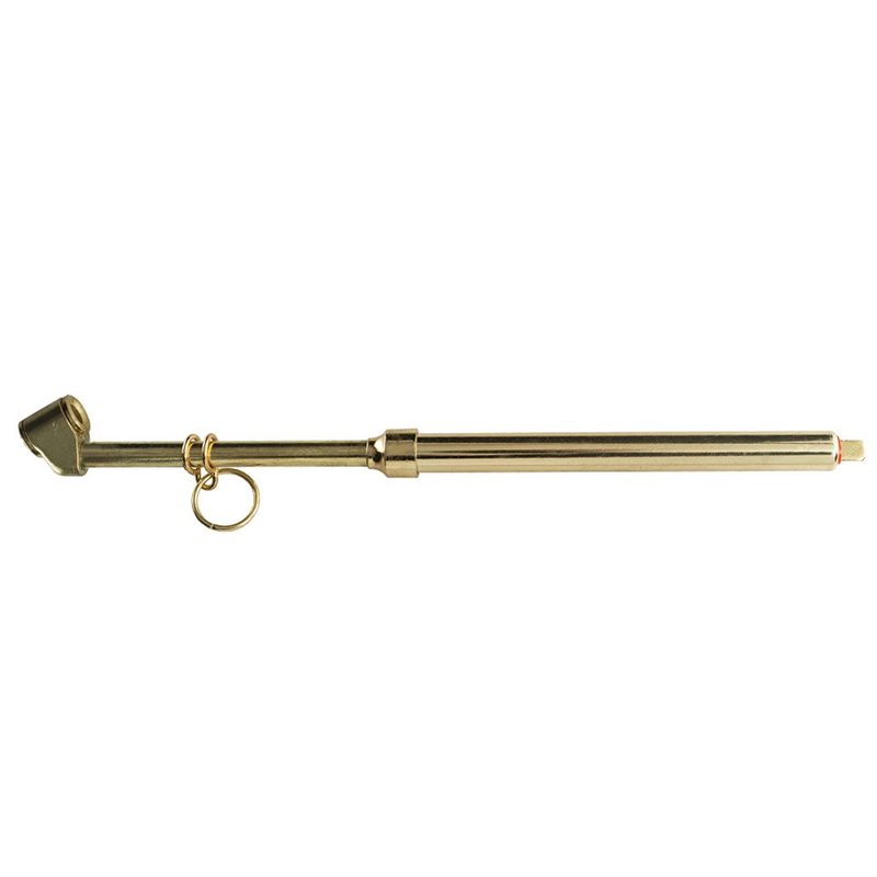 AG010041 / PROFESSIONAL TIRE PRESSURE GAUGE FOR TRUCK