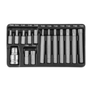 S29H4215S / 15 PCS 10MM STAR BIT SET SIZE: T20 to T55